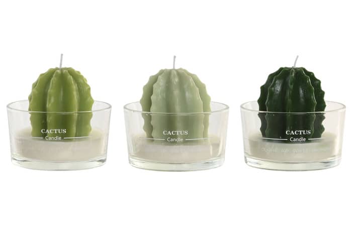 Espelma Decorativa Cactus en Got de Vidre