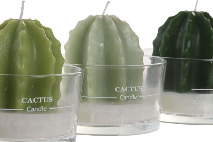 Espelma Decorativa Cactus en Got de Vidre